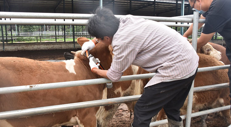 20210802135893539353