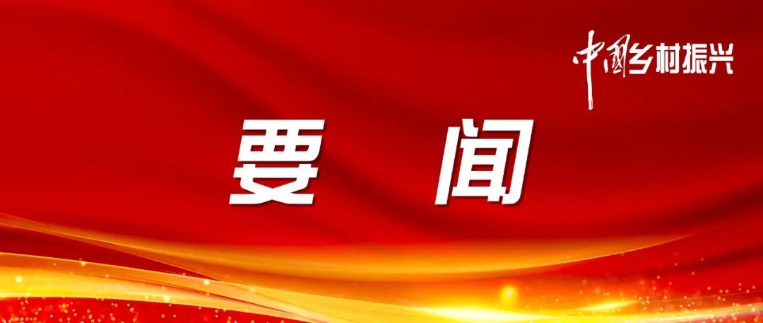 20240206134117721772