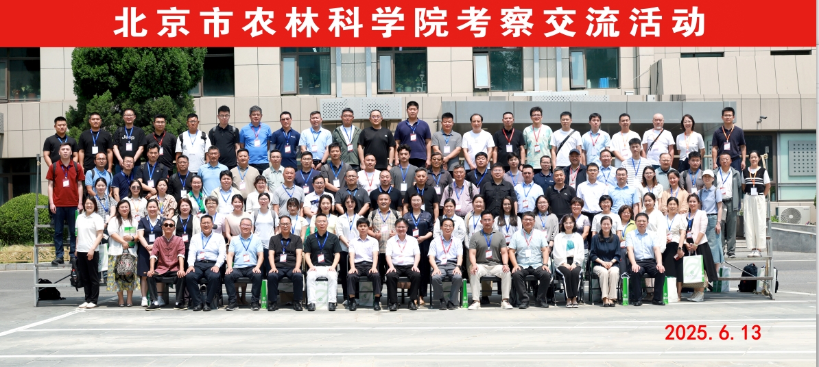 20250708110360266026