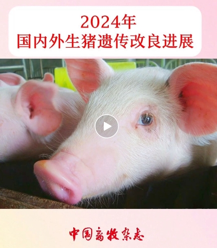 20250708112117661766